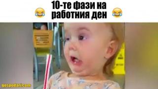 Десетте неизбежни фази на работния ден (видео)