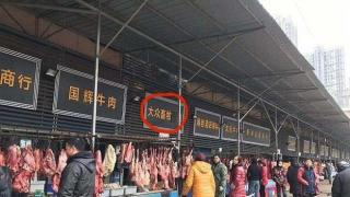 Продават живи коали, пауни и вълци за готвене на пазар в Ухан, въпреки вируса (снимки)