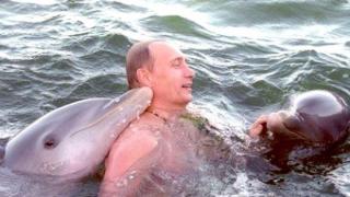 Владимир Путин плува с делфини, разкриват непоказвани досега архивни кадри (видео)