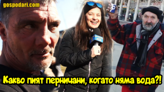 Пополина Вокс пита перничани как се справят с водния режим (видео)