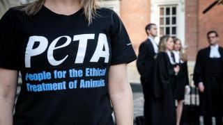 PETA станаха за смях, след като обявиха, че „любимец” било обиден термин за домашните животни