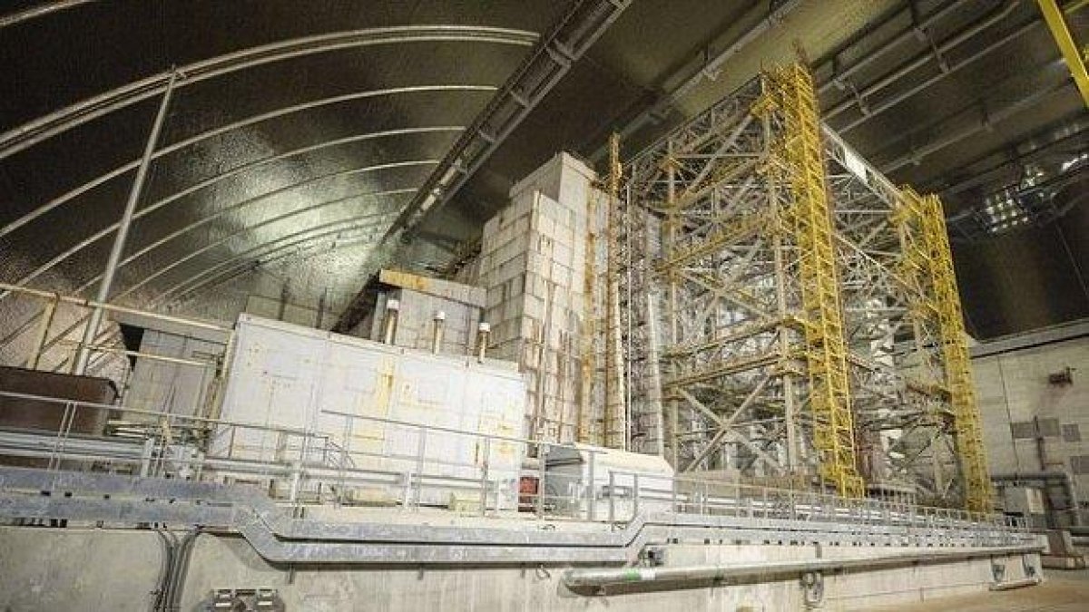 Гъби, растящи в реактора в Чернобил, могат да служат на хората като щит срещу радиация (снимки)