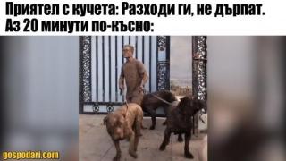 Когато разходката с кучето се превърне в треторазряден екшън (видео)