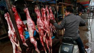В китайски град се канят да забранят консумацията на месо от кучета и котки