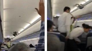 Пътници и стюардеси гонят гълъби в самолет (видео)