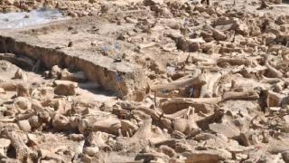 Учени откриха мистериозни кръгове от кости на мамути в Русия