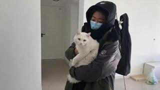 Хиляди домашни животни в Китай са заплашени да останат на улицата заради коронавируса (видео и снимки)
