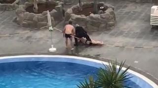 Полицаи в Тенерифе извадиха от басейн и арестуваха британка, нарушила карантината на хотела (видео и снимки)