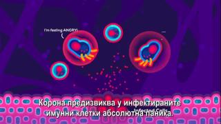 Какво се случва с белите дробове на хората, които имат Covid-19?