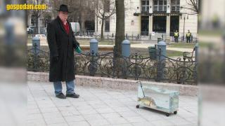 Какви "домашни любимци" разхождат хората под карантина (видео)