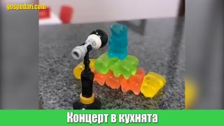 Няколко идеи какво да правите, докато си стоите вкъщи, които със сигурност не са ви хрумвали (видео)