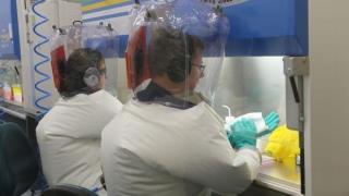 Австралийски учени започнаха да тестват две потенциални ваксини срещу коронавирус