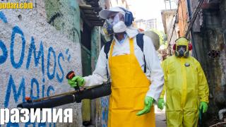 Как заради коронавируса се дезинфекцират улиците по света (видео)