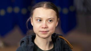 Две домашни котки в Ню Йорк са заразени с коронавирус
