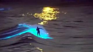 Уникална гледка: мъж сърфира по светещи в тъмното вълни (видео)