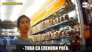 Китайски пазар предлага шокиращи храни (видео)
