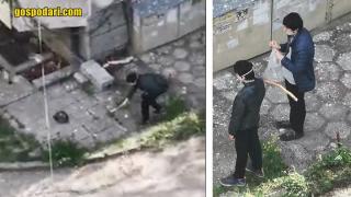 Деца от Велико Търново убиват гълъби с тояга, след като ги подмамват с хляб (видео и снимки)