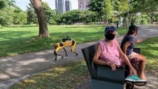 Куче-робот бди за спазване на социална дистанция в парковете на Сингапур (видео и снимки)