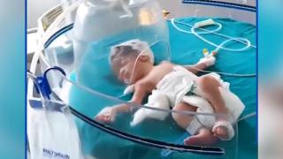 Майка изхвърля новороденото си бебе в канал, бездомни кучета го спасяват (видео)