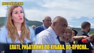 Според властта най си е добре на родното море (видео)