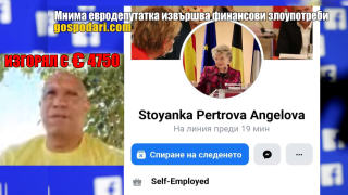 Мнима евродепутатка извършва финансови злоупотреби в интернет (видео)