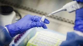 Италия обмисля премахването на зеления сертификат при 90% ваксинирани
