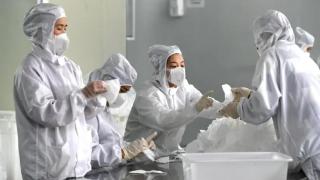 СЗО обяви, че "внимателно следи" огнище на бубонна чума в Китай