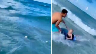 Изчезнал мъж е открит в стомаха на акула