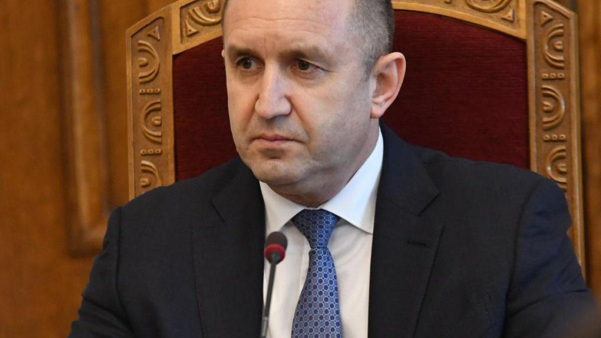 Конституционният съд: Президентът не може да бъде разследван