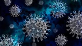 Катастрофата зад ъгъла. Как Чехия се превърна в център на кризата с Covid-19