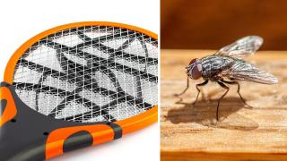 Пенсионер взриви къщата си в опит да убие муха с електрическа мухобойка