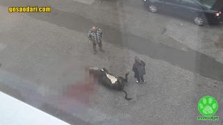 Мъж закла кравата си на улицата под прозорците на жилищен блок в Гоце Делчев (снимка)