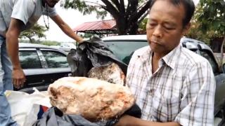 Рибар намери огромни буци "повръщано от кит" на стойност $3.2 милиона (видео)