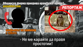 Питаме шефовете по веригата в Пловдив бъркат ли в кацата с меда по сигнала за крадената нафта (РЕПОРТАЖ)