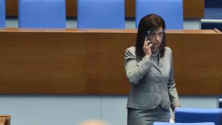 Бърза сеч на до 10% от горите на България предвижда законопроект, внесен от ВМРО