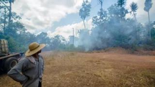 Обезлесяването на горите в Амазонка бележи връх спрямо последните 12 години (видео и снимки)