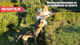 Мнима организация уж дава кучета за осиновяване (РЕПОРТАЖ)