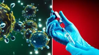 Новият щам на Covid-19 не е по-устойчив и е податлив на ваксини, смятат експерти (видео)