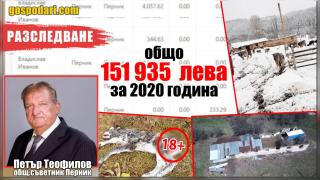 Общински съветник тормози жителите на цяло село със стотици крави-„субсидарки“ (РЕПОРТАЖ)