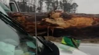 Шофьор оцеля по чудо след като се наниза с колата си на дървени трупи (видео)
