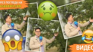 Румен Бахов избухва със сутрешен репортаж за пликчета, пълни с урина (видео)