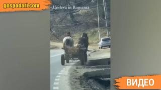 Когато си паднал от коня още в кръчмата, но решиш да се прибереш с каруцата (видео)