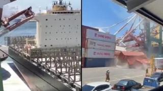 86-тонен кораб събори пристанищен кран и предизвика пълен хаос  (видео и снимки)
