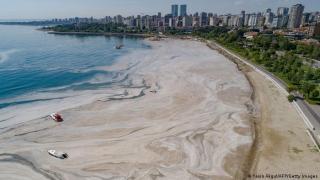 "Морски сополи": Каква е тази слуз край бреговете на Мраморно море в Турция? (видео и снимки)