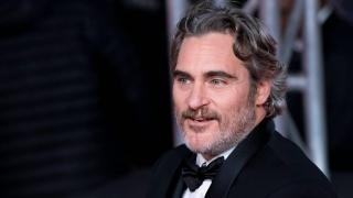 Вегетарианец умишлено изключил семейния фризер и бе наказан да почисти разваленото месо (снимки)