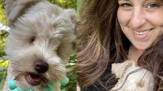 Човек изостави куче, родено без очи, след опит да селектира нова порода (снимки)