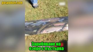Вижте странния начин, по който се зарибява воден басейн (видео)