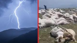 Мълния уби 500 овце в Грузия (видео)