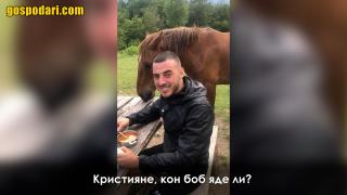 Когато поговорката "кон боб яде ли" се превърне в реалност (видео)