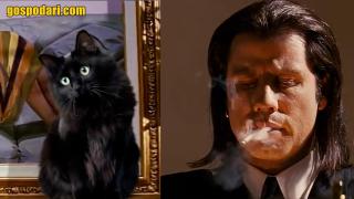 Purr fiction: котешкото „Криминале“ (видео)
